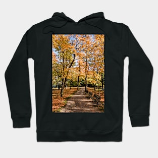 Autumn in Stockholm Hoodie